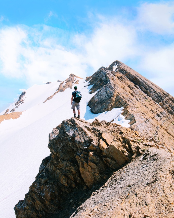 ����������� � ��������������