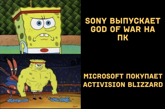 Sony vs Microsoft