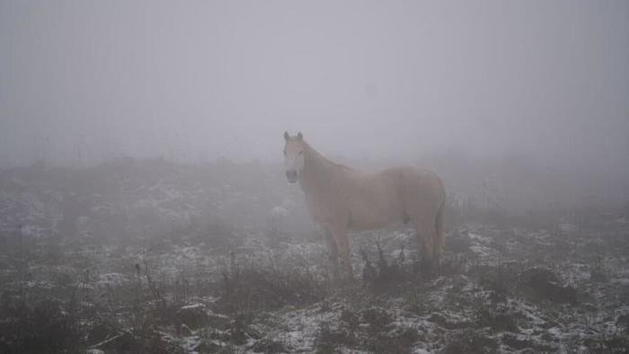 ������ � ������ -� ���� �������