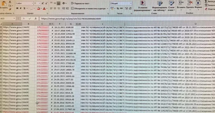 У челябинки арестовали дом за долги 400 человек Долг, ФССП, Челябинск, СНИЛС, Длиннопост