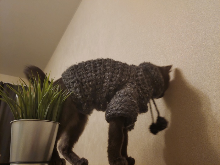 Прошу помощи Пикабу в анонимном опросе