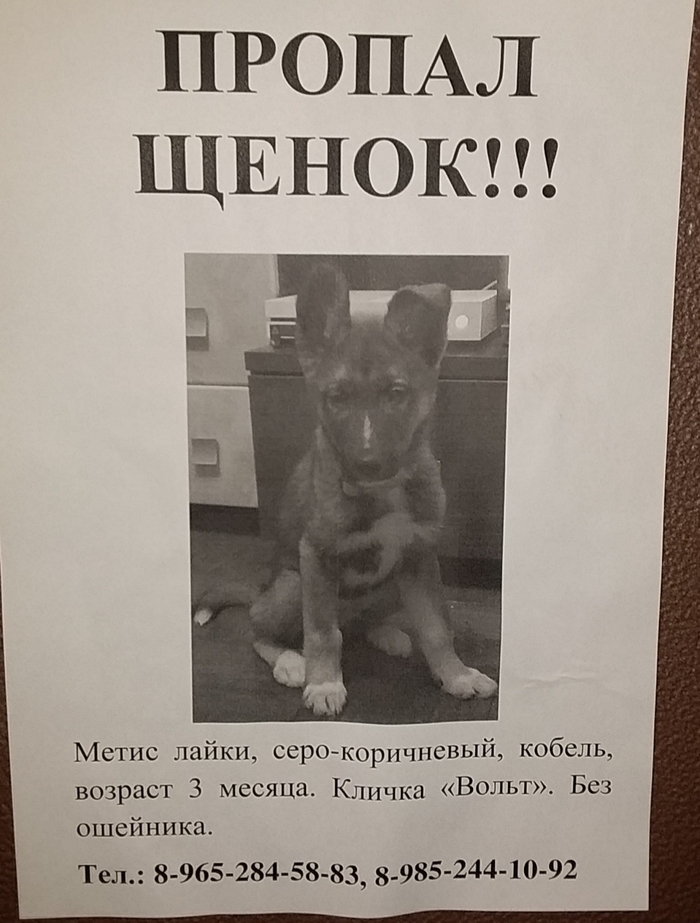  . , .    ,  , ,  , ,  