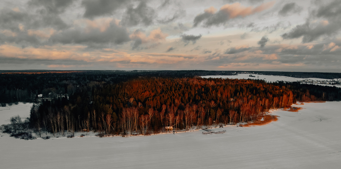 Ответ на пост «Рыжий лес»