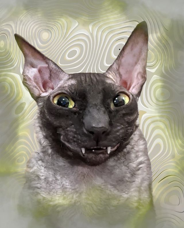 Улыбка Джоконды