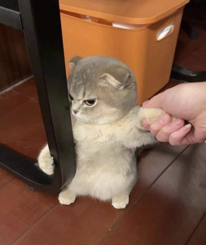  , 