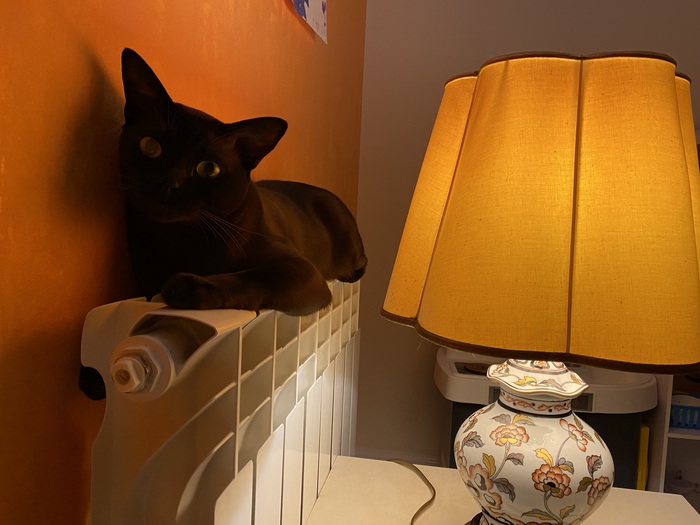 Настало время о}{#ительных историй!