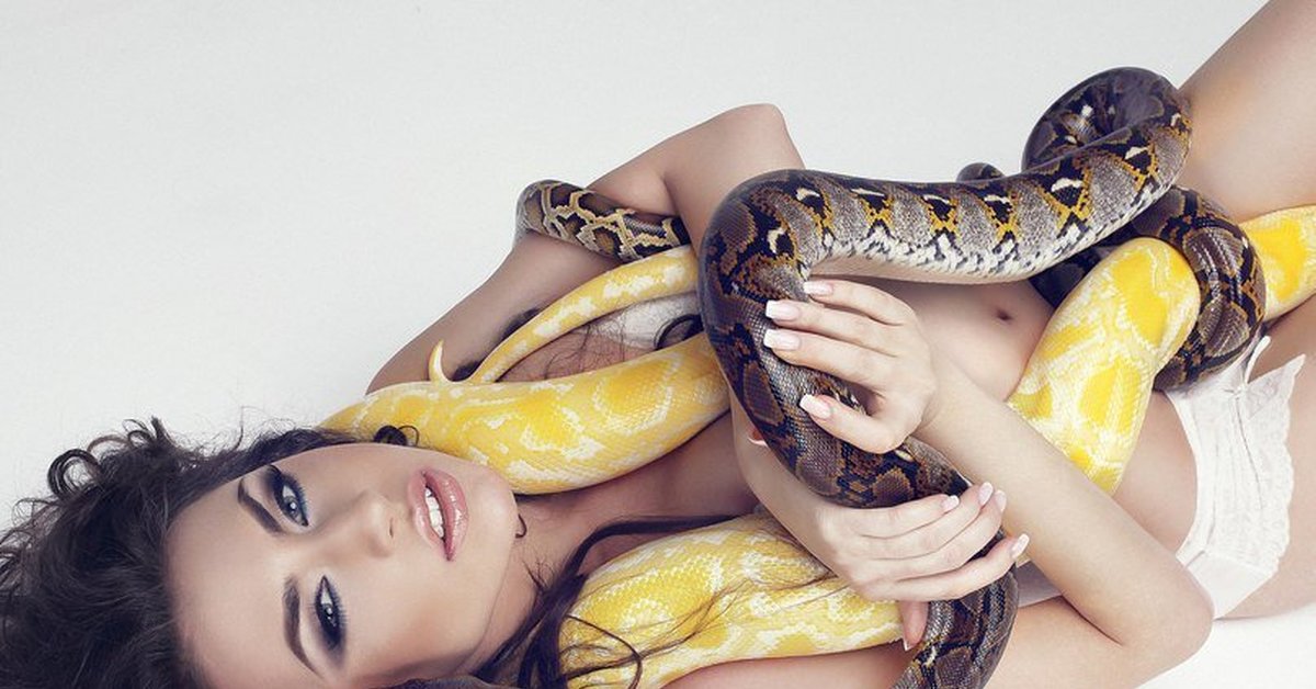 К чему снятся змейки. Девушка со змеями. Красивая девушка со змеей. Фотосессия со змеями. Девушка с удавом.