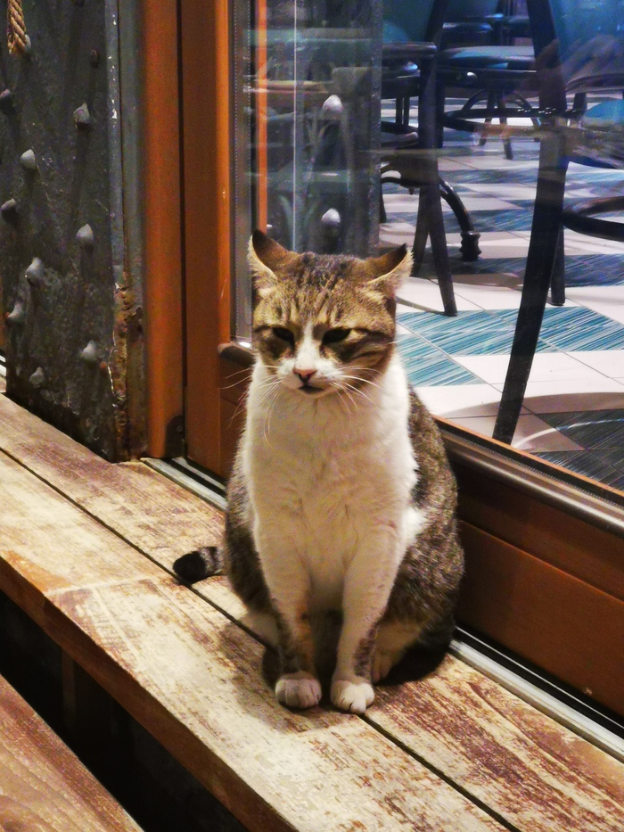 ����������� ��� ��� ��������