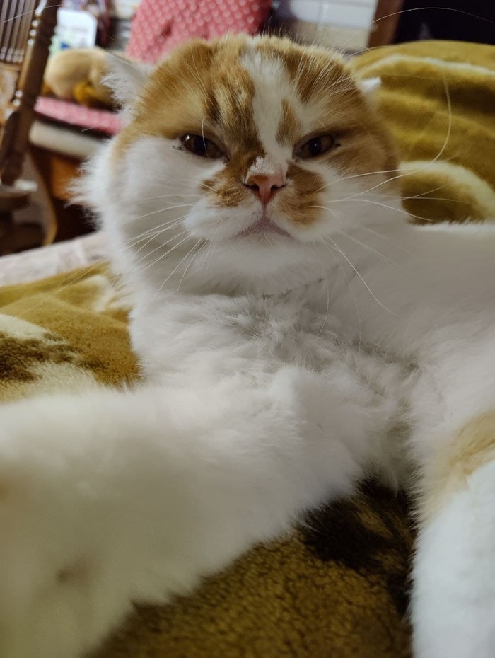 Selfie