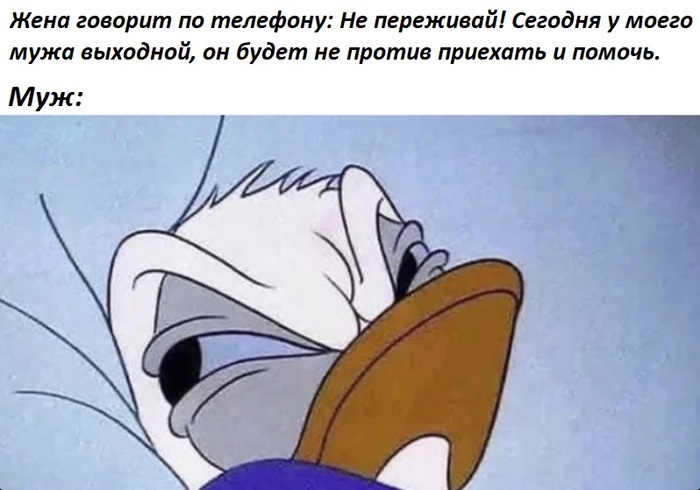 � ����� ����� ��