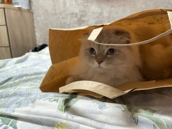   ,  , ,  ,  