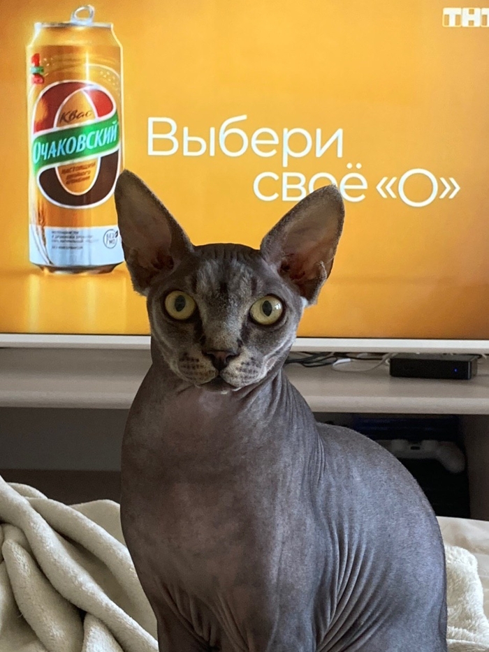 Выбери своё!