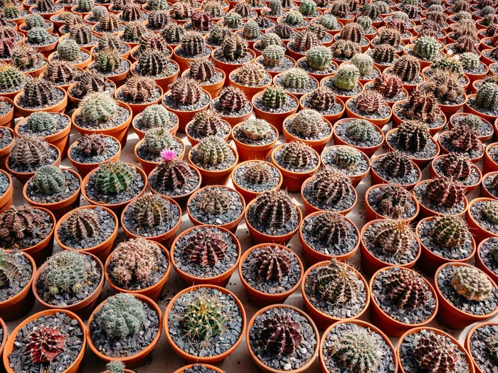 Самая длинная канатная дорога над морем. Парк развлечений Vinpearl Путешествия, Вьетнам, Отдых, Достопримечательности, Отпуск, Длиннопост