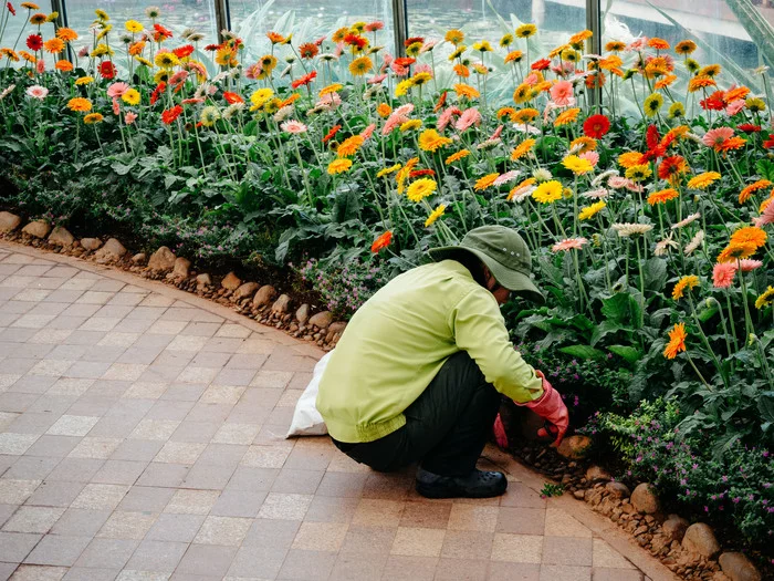 Самая длинная канатная дорога над морем. Парк развлечений Vinpearl Путешествия, Вьетнам, Отдых, Достопримечательности, Отпуск, Длиннопост
