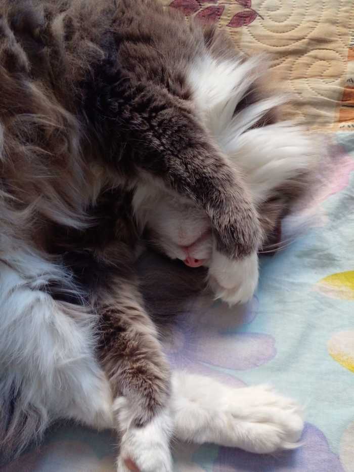 ����� ���� ����