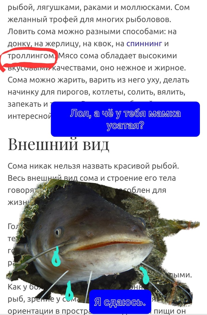 Рыбу надо уметь ловить