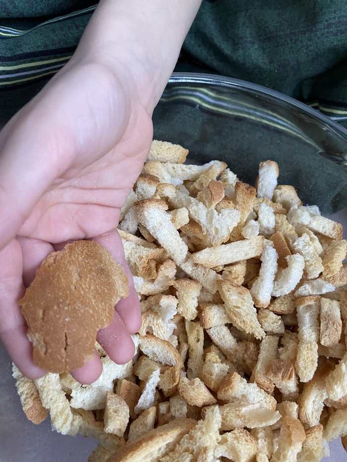 ��� �����