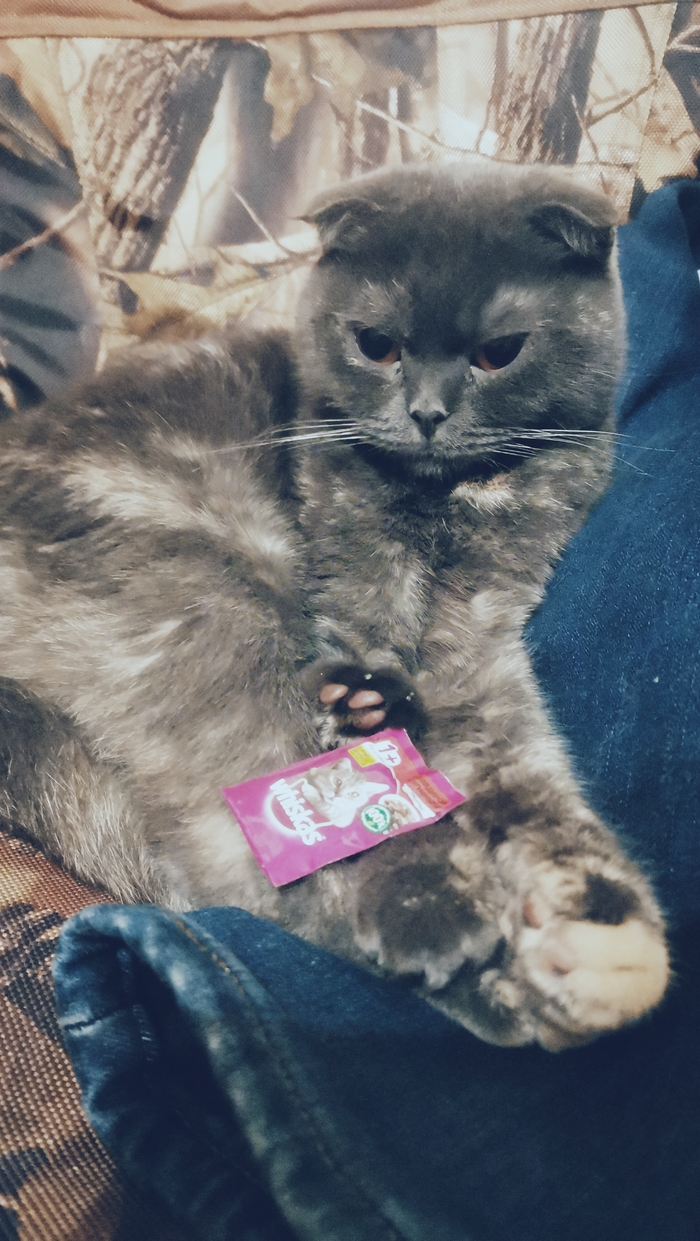 Внимание! Кошачий производитель кормов уменьшил паучи с 85грамм до 5!