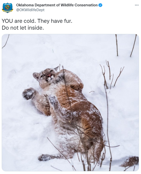 Но очень хочется