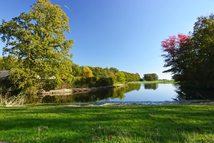 Вспоминая лето...