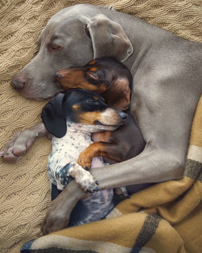 вы так мило смотритесь. Смотреть фото вы так мило смотритесь. Смотреть картинку вы так мило смотритесь. Картинка про вы так мило смотритесь. Фото вы так мило смотритесь вы так мило смотритесь. Смотреть фото вы так мило смотритесь. Смотреть картинку вы так мило смотритесь. Картинка про вы так мило смотритесь. Фото вы так мило смотритесь