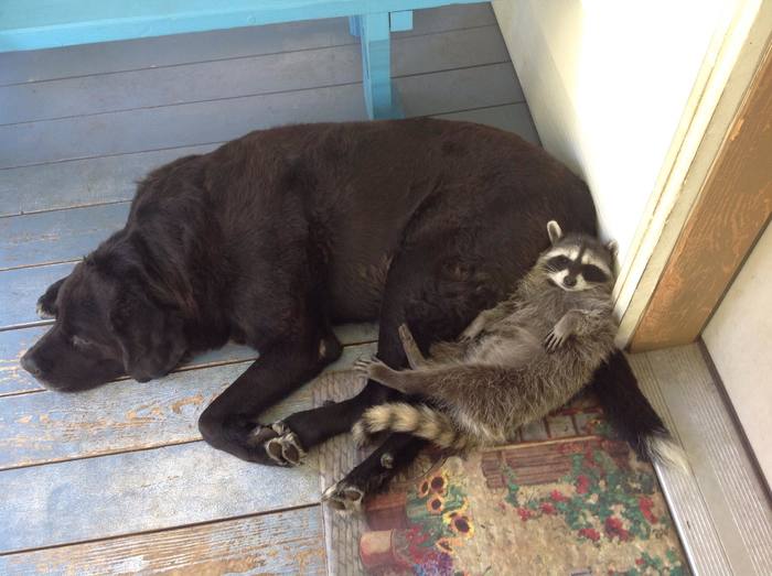 �� ����������