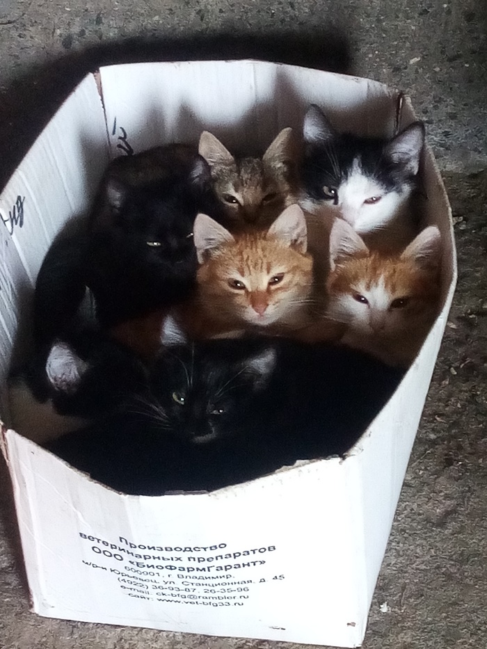 Похолодало)