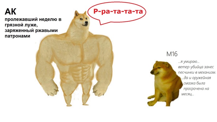    :    -47   , ,  , 16, ,   , Doge