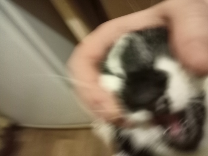 Неудачный кадр