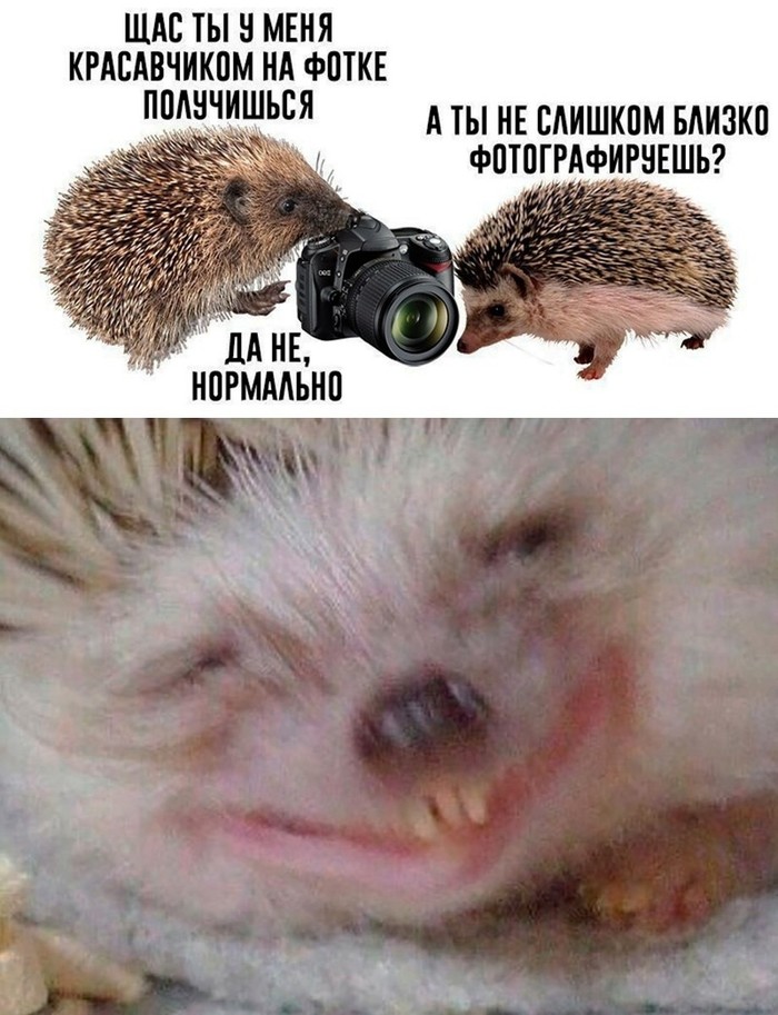 Фотографии