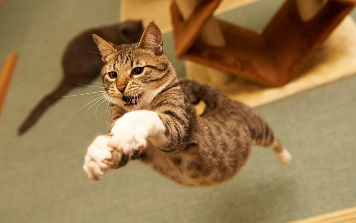       ? , , , , 