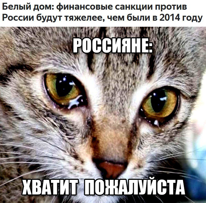 ������ ����������