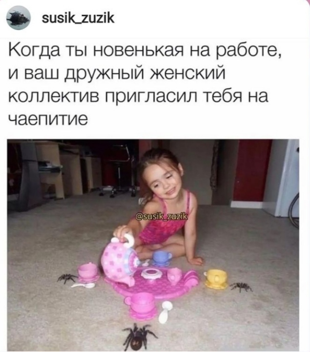 Дружный женский коллектив