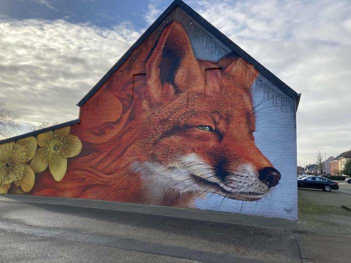 ����������� ��� �����