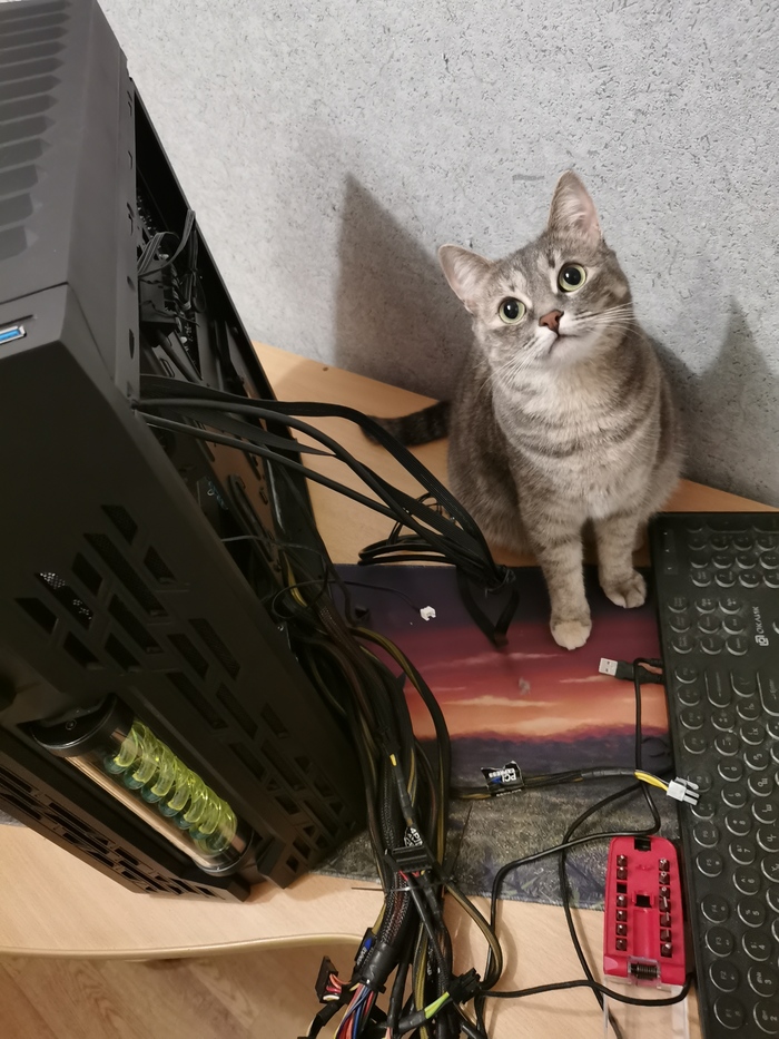 Мини Сис. Админ