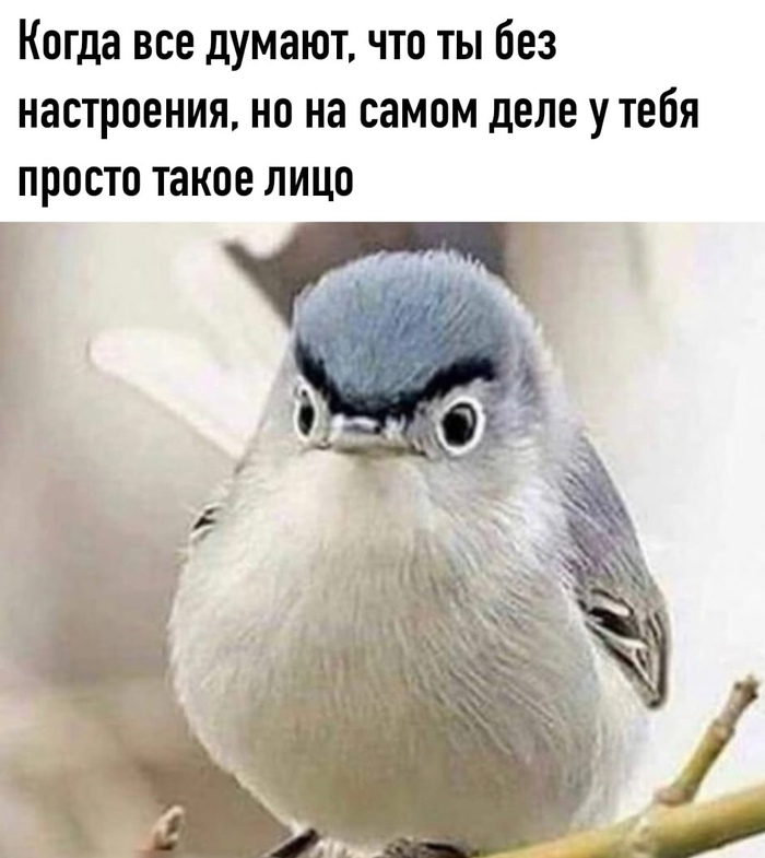 Просто велосипеда у него небыло