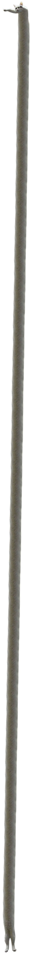 Сохраненные