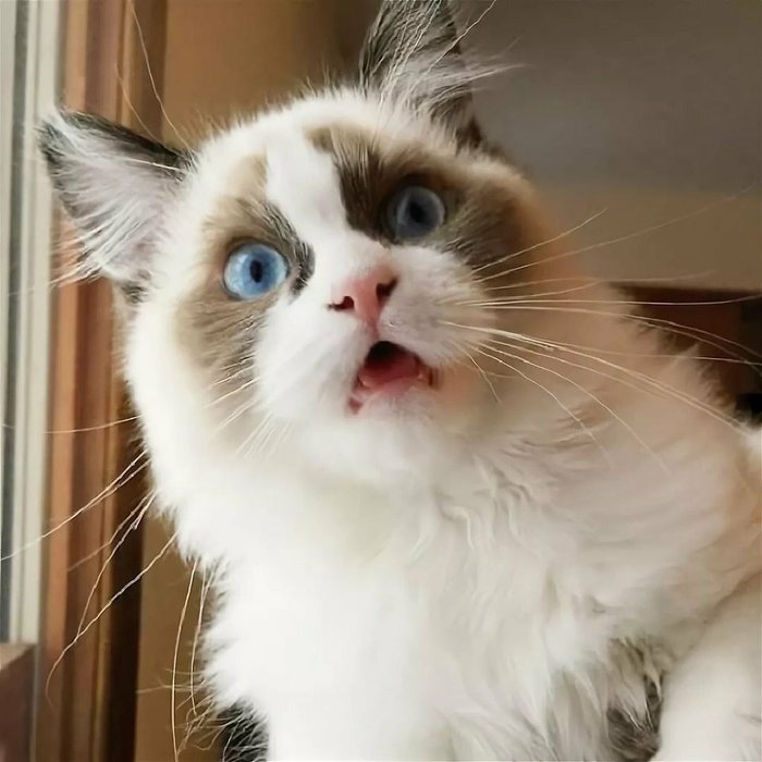   , , ,   