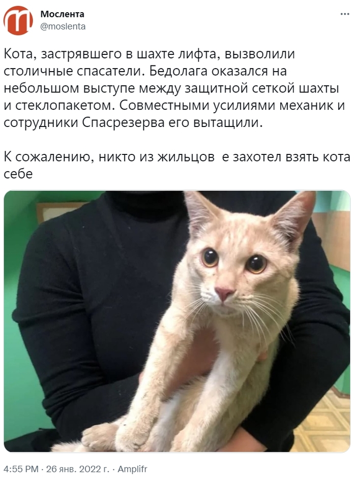   X (Twitter), , , ,  ,  , , , 