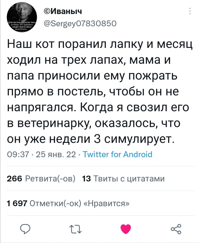   , X (Twitter), , , ,  