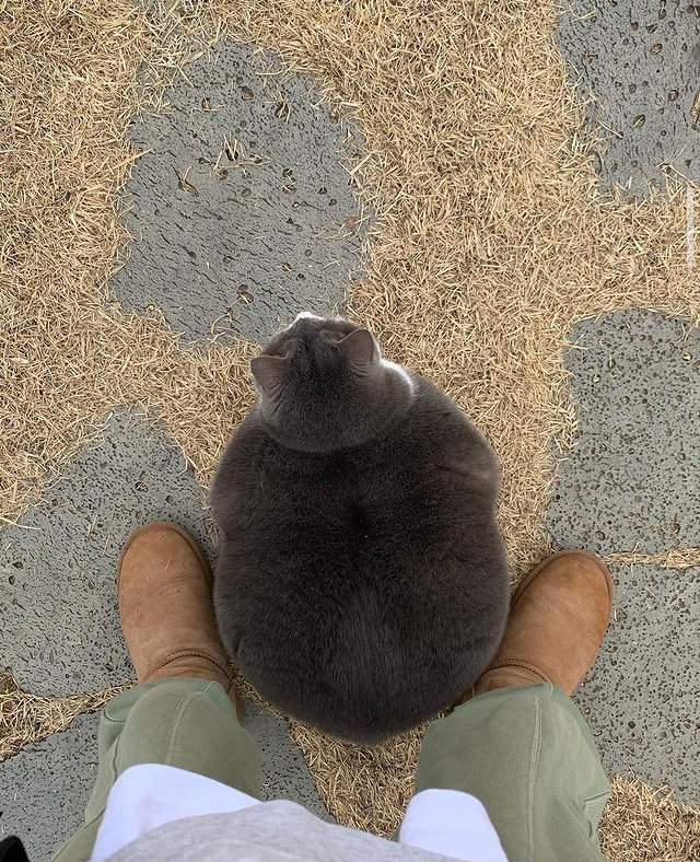    .     ,  , 