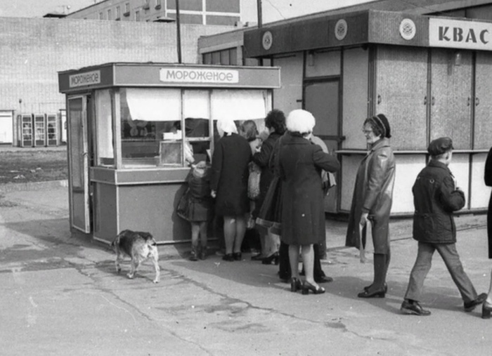 ���� �������