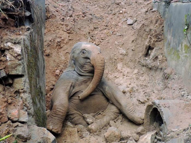 Классическое "придумайте подпись для фото" :)