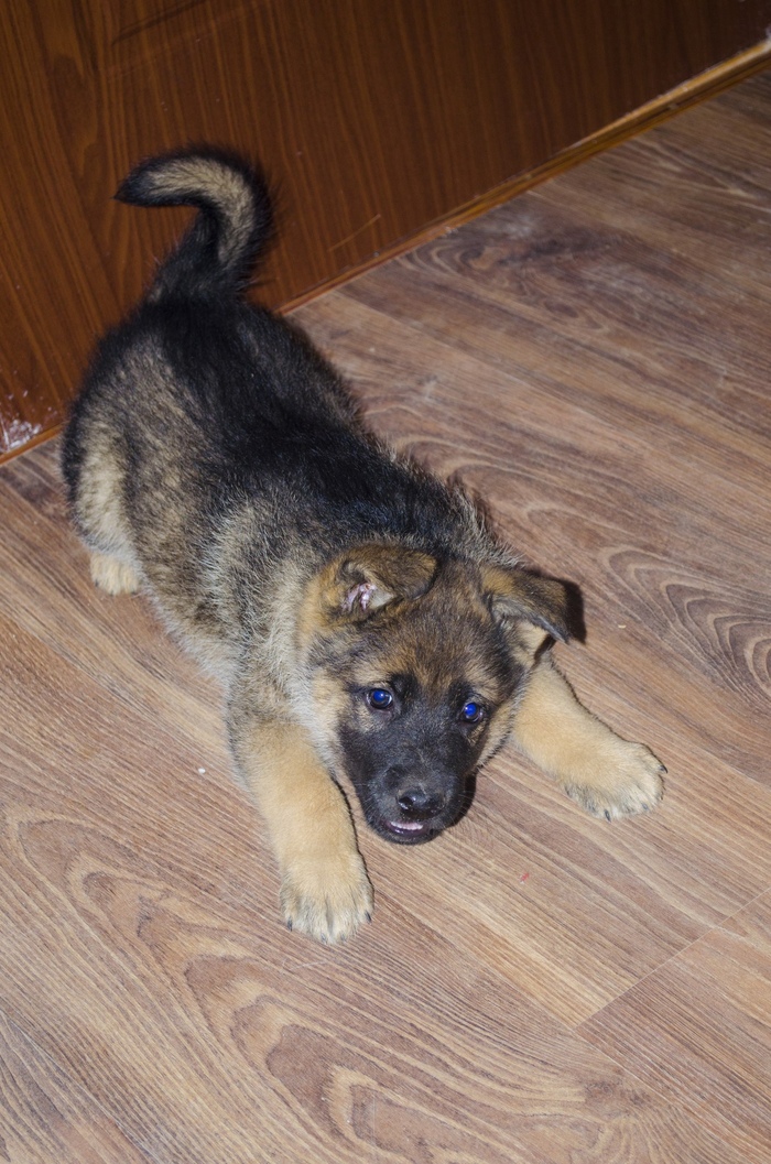 ������� 8 ��� �����