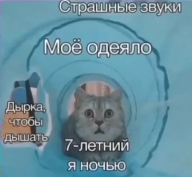 �������� � � 7 ���