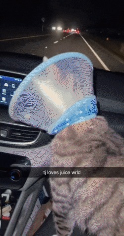      , , , 