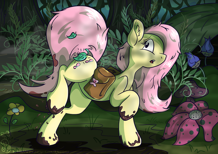   My Little Pony, Fluttershy, Rainihorn