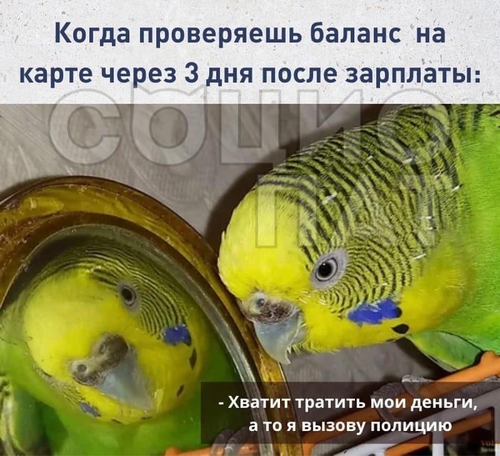 ���� ��������, �� ����