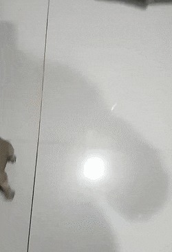     , , , 