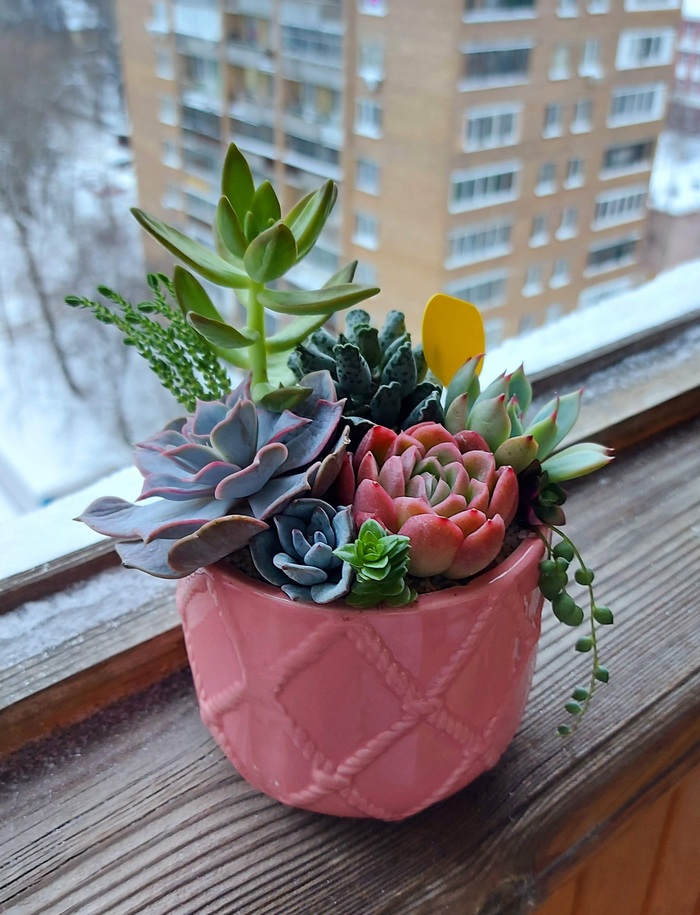 ������������ �������